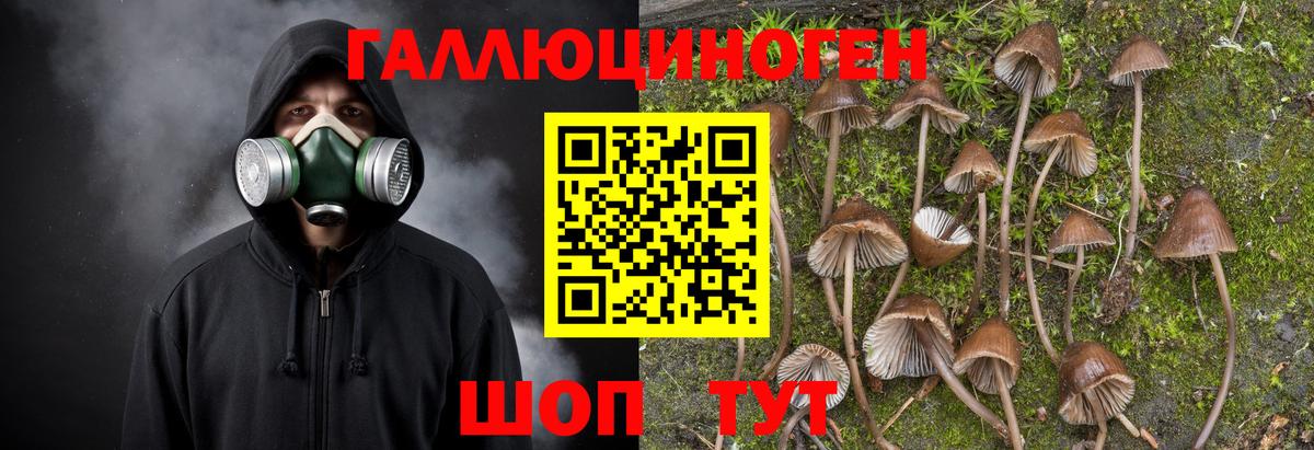 Псилоцибиновые грибы MAGIC MUSHROOMS  Вход с VPN  Рыбинск 
