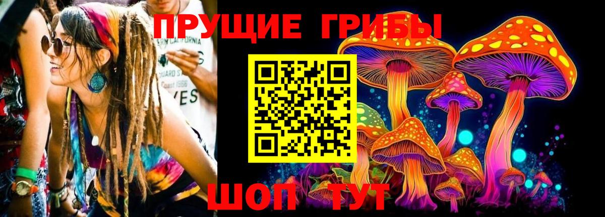 Псилоцибиновые грибы Psilocybe Рыбинск